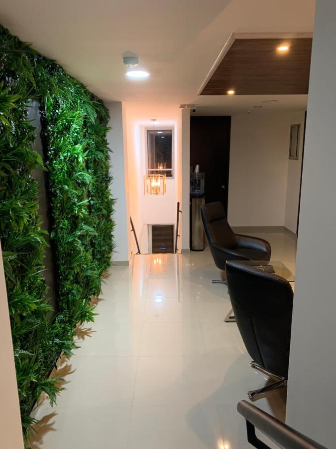 Guest house Orange Wild